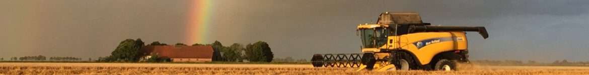 cropped-IMG_3475.jpg